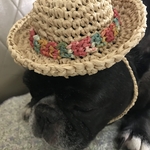 犬用麦わら帽子