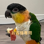 ヌメ革厚セット【斉藤様専用】