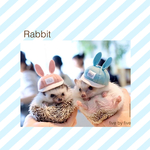 うさぎロゴキャップ/ハリネズミ・小動物用帽子