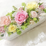 chou ＊シュー ＊送料込み