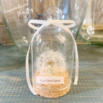 𖧷𓂃 ＊Dandelion fluffy dried flowers＊𓂃 𖧷
