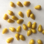 ティアード　ガラスビーズ　イエロー　8個