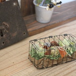 wire box（グリーン系）