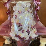 光触媒　人工観葉植物　ウォールグリーン　造花　インテリア　胡蝶蘭6134