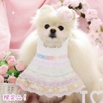 限定品❣️オーロラレインボー✨ウエディングドレスあぶちゃん💖