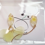 【専用ページ】アシンメトリーピアス