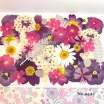 ♡new♡  ♡可愛い押し花セット♡ ♡使いやすい少量の押し花セット♡