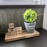 木の観葉植物オブジェ