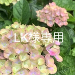 LK様おまとめ分＊訳ありセール＊リバティ＊スマホポーチ＊リバティファブリックを使用したオリジナルハンドメイド