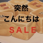 突然こんにちはSALE【12個セット】おまかせキューブパン