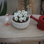 ミニチュアフラワー　ビオラの寄せ植え