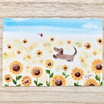 🌻透明水彩画「ダックスちゃんとひまわり」イラストポストカード２枚セット 暑中見舞いはがき 暑中はがき 花　残暑見舞い　母の日　父の日　ダックスフント　ダックスフンド　癒し🌻