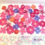 ♡new♡作家様必見♡ 人気のバーベナMIXセット♡押し花セット