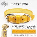 【送料無料】本革レザー首輪〈小型犬〉 マスタードイエロー色 幅１７ｍｍ 長さ２４~３２cm 高級ヌメ革使用
