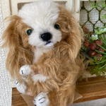 キャバリア_ぬいぐるみ