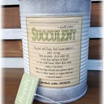 ナチュラルリメイク缶とピックのセット【グリーン】　多肉植物やサボテンに最適！