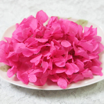 ひめ紫陽花　あじさい　アジサイ　プリザーブド　ラズベリー