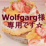 Wolfgang様専用♪おまとめ　樹脂粘土　フェイクスイーツ　いちご　苺　ドール