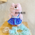 桜餅猫さんとビンテージワンピとグリーンチュチュ