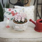 ミニチュアフラワー　ビオラの寄せ植え