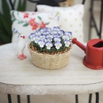 ミニチュアフラワー　ビオラの寄せ植え