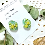 ✨新作レジン✨変形型ミントボタニカイヤリング💕　レジンイヤリング＊レジンピアス＊    　普段使い　レジンレジンピアス　レジンイヤリング　春　ミントグリーン　