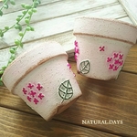 あじさい鉢 2.5号(ピンク)4