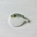 クサフグのブローチ
