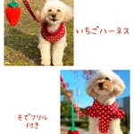 レッドいちごハーネス ペアセット（ダブルリードに変更）