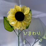 ひまわりアメリカンフラワー
