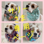 サリーさま専用ページ★おまとめ　中型犬用スヌード