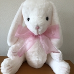 大きな耳長うさぎ🐰