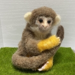 リスザル　ひとりぼっち