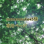 mamenosuke45様専用ページ【お花の座布団】