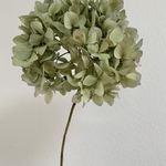 ドライフラワー花材✩.*˚秋色あじさいヘッド