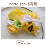 merro-zchi様専用