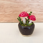 ミニチュア盆栽きのこ《盆のこ》  赤きのこ