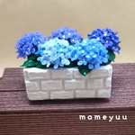 [第5段]ミニチュア紫陽花の花壇(ブルー系)