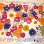♡new♡  ♡可愛い押し花セット♡ ♡たくさん入って使いやすい押し花セット♡