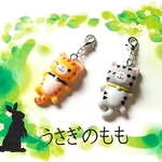 マスクチャーム　茶とキジトラ猫　２セット