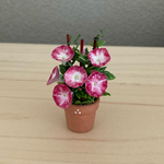 朝顔の花鉢        ミニテラコッタ鉢 1