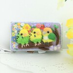 花咲く◆インコさんズ◆ピルケース◆セキセイインコ◆シロハラインコ
