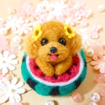 羊毛フェルト スイカ トイプードル ♬.*ﾟ 犬 