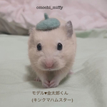 エメラルドグリーンのベレー帽