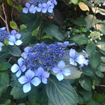 Licht.様専用ページ