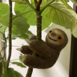 抱きつきミニなまけものさん