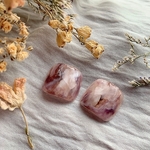 フットネイルチップ No.1