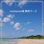 mintearose様専用ページ 「【ブラック】6本  丸かん付きタッセル」他1点