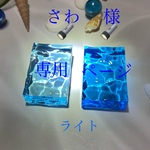 海のかけら（砂浜なし）