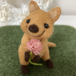 クアッカワラビーお花をどうぞ